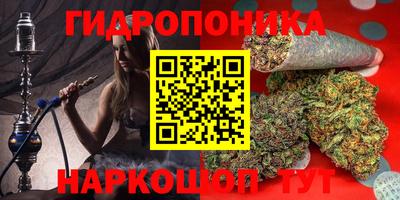 прущие грибы Бузулук
